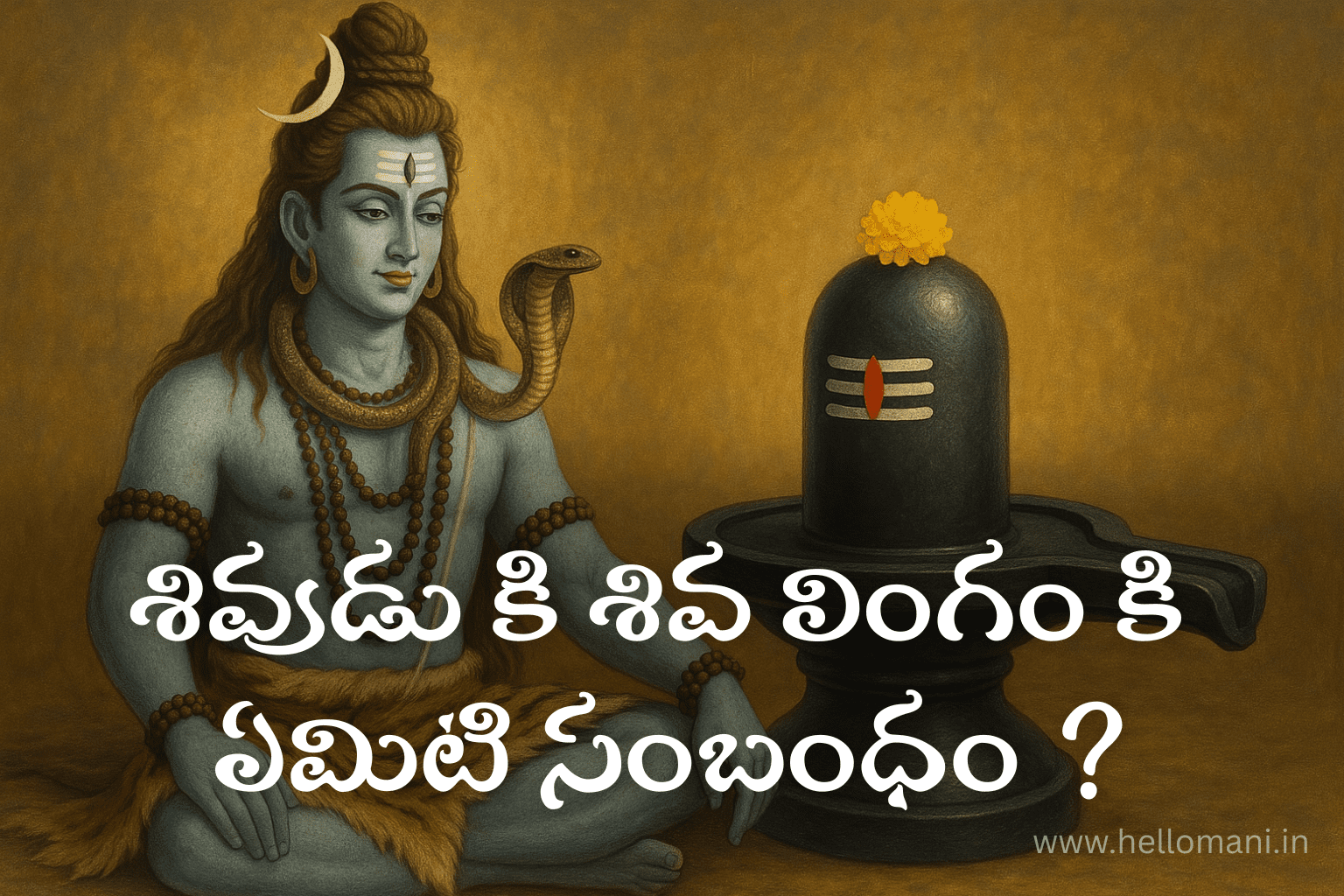 What is Shiva Lingam?